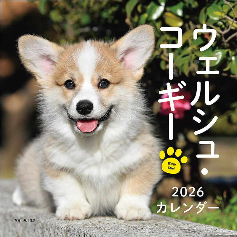 2026年カレンダー ウェルシュ・コーギー