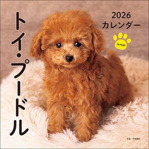 2026年カレンダー トイ・プードル