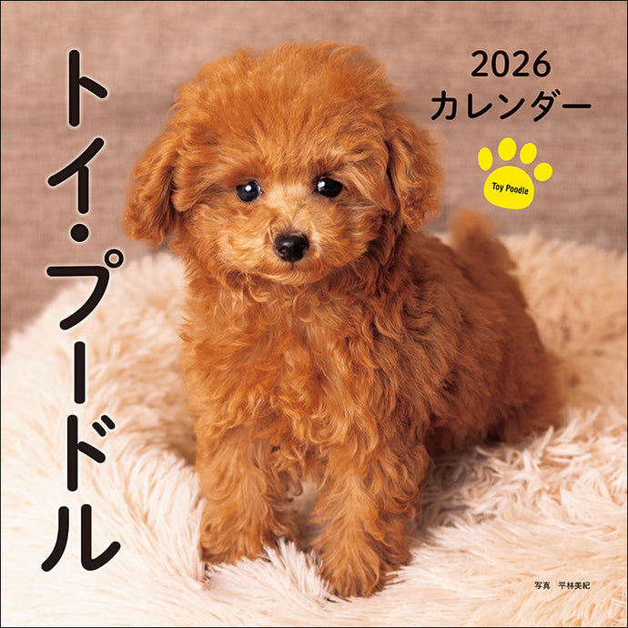 2026 Calendar Toy Poodle