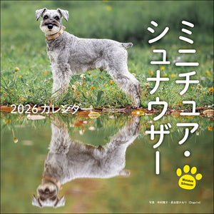 2026年カレンダー ミニチュア・シュナウザー