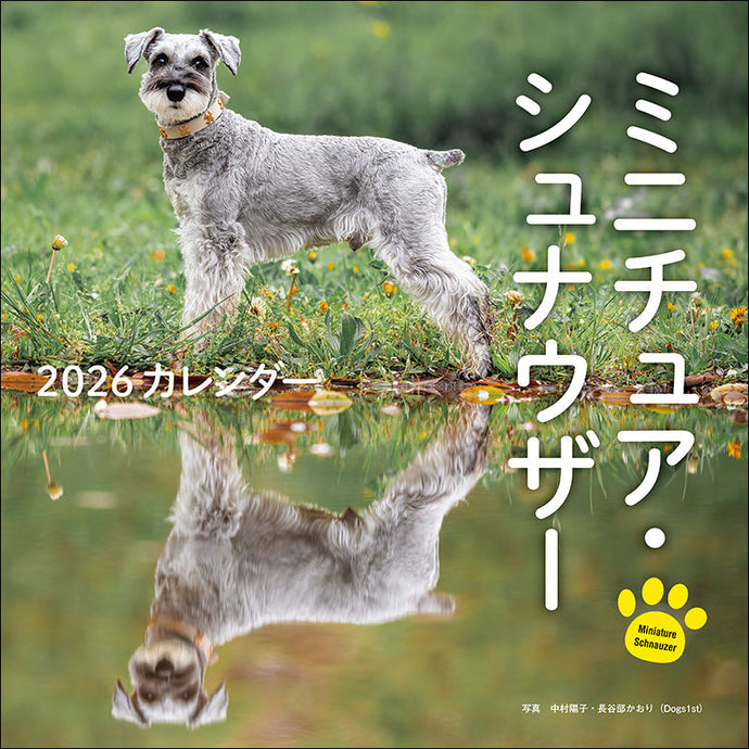 2026 Calendar Miniature Schnauzer