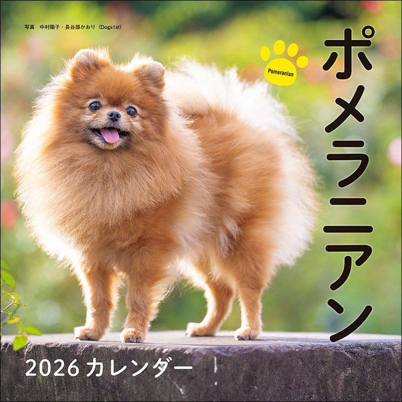 2026年カレンダー ポメラニアン