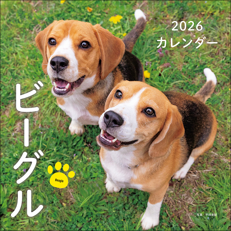 2026年カレンダー ビーグル