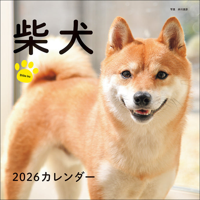 2026 Calendar Shiba Inu