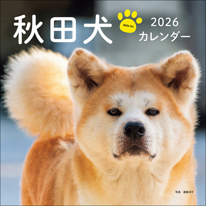 2026 Calendar Akita Dog