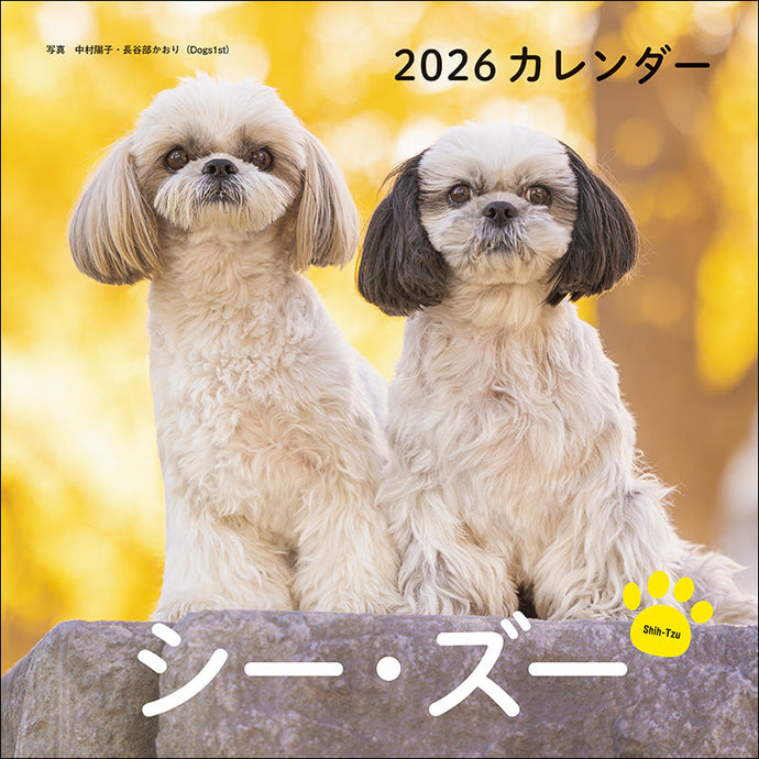 2026 Calendar Shih Tzu