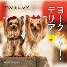 Load image into Gallery viewer, 2026 Calendar Yorkshire Terrier
