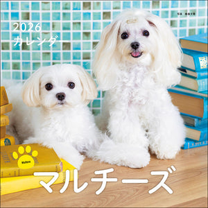 2026年カレンダー マルチーズ