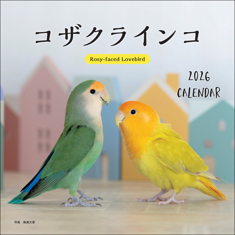 2026年カレンダー コザクラインコ