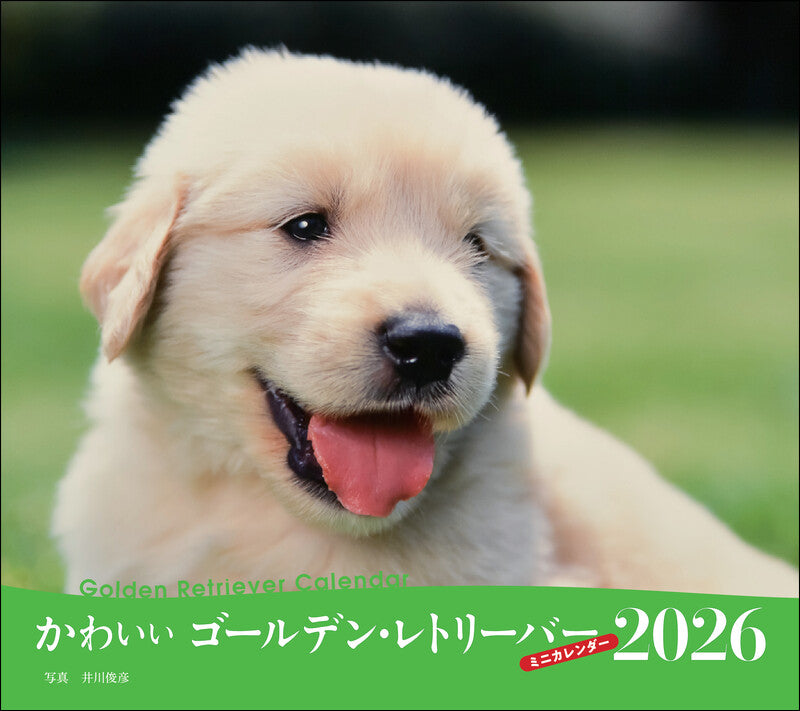 2026年カレンダー かわいいゴールデン・レトリーバー
