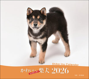 2026年カレンダー かわいい柴犬