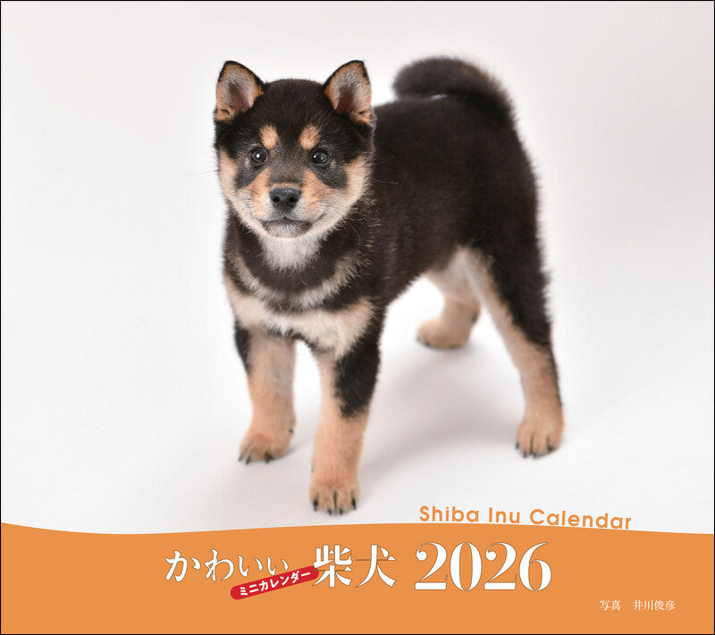 2026年カレンダー かわいい柴犬 – 誠文堂の直売所