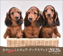 Load image into Gallery viewer, 2026 Calendar Cute Miniature Dachshund
