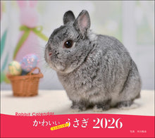 Load image into Gallery viewer, 2026 Calendar Cute Rabbit
