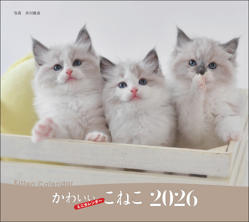 2026年カレンダー かわいいこねこ