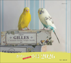 2026年カレンダー かわいい小鳥