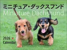 Load image into Gallery viewer, 2026 Calendar Wide Format Miniature Dachshund
