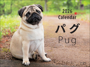 2026年カレンダー ワイド判　パグ