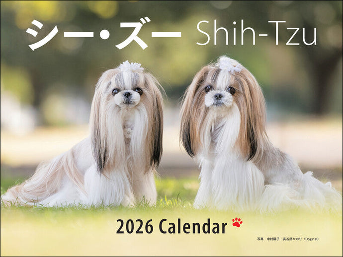2026 Wide Format Calendar Shih Tzu