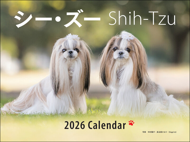 2026年カレンダー ワイド判　シー・ズー