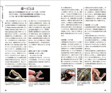 画像をギャラリービューアに読み込む, 日本のヘビ
