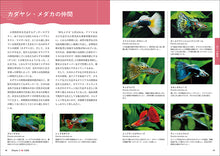 Load image into Gallery viewer, 熱帯魚完全飼育
