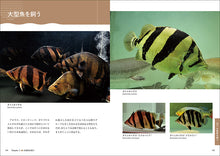 Load image into Gallery viewer, 熱帯魚完全飼育
