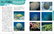 Load image into Gallery viewer, サンゴの海と生き物たち
