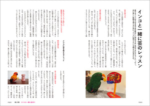 インコがほんとうの家族になる
