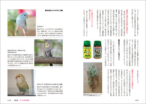 インコがほんとうの家族になる