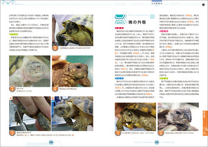 カメの健康と病気