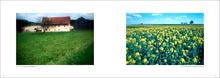 Load image into Gallery viewer, 他国の風

