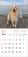 Load image into Gallery viewer, 2026 Calendar Golden Retriever
