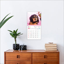 Load image into Gallery viewer, 2026 Calendar Miniature Dachshund
