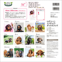 Load image into Gallery viewer, 2026 Calendar Miniature Dachshund
