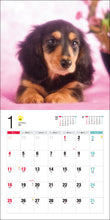 Load image into Gallery viewer, 2026 Calendar Miniature Dachshund
