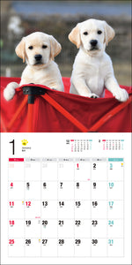 2026 Calendar Labrador Retriever
