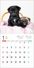 Load image into Gallery viewer, 2026 Calendar Pug

