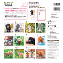 Load image into Gallery viewer, 2026 Calendar Toy Poodle
