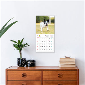 2026 Calendar French Bulldog
