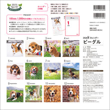 Load image into Gallery viewer, 2026 Calendar Beagle
