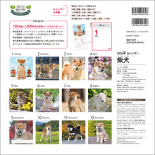 Load image into Gallery viewer, 2026 Calendar Shiba Inu
