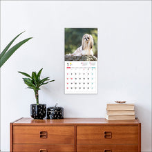Load image into Gallery viewer, 2026 Calendar Shih Tzu
