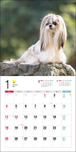 Load image into Gallery viewer, 2026 Calendar Shih Tzu
