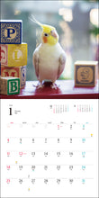 Load image into Gallery viewer, 2026 Calendar Cockatiel

