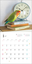 Load image into Gallery viewer, 2026 Calendar Cockatiel
