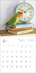 2026 Calendar Cockatiel