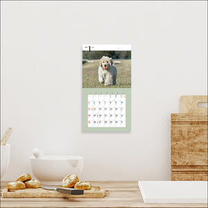 2026 Calendar Cute Golden Retriever