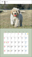 Load image into Gallery viewer, 2026 Calendar Cute Golden Retriever
