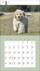 2026 Calendar Cute Golden Retriever